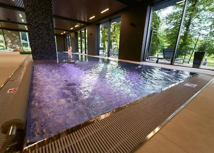 Park-laguna-spa-411 公寓 *